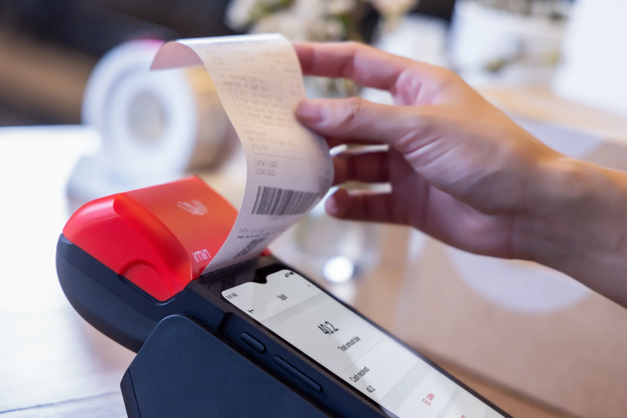 Organic Vegetable Box