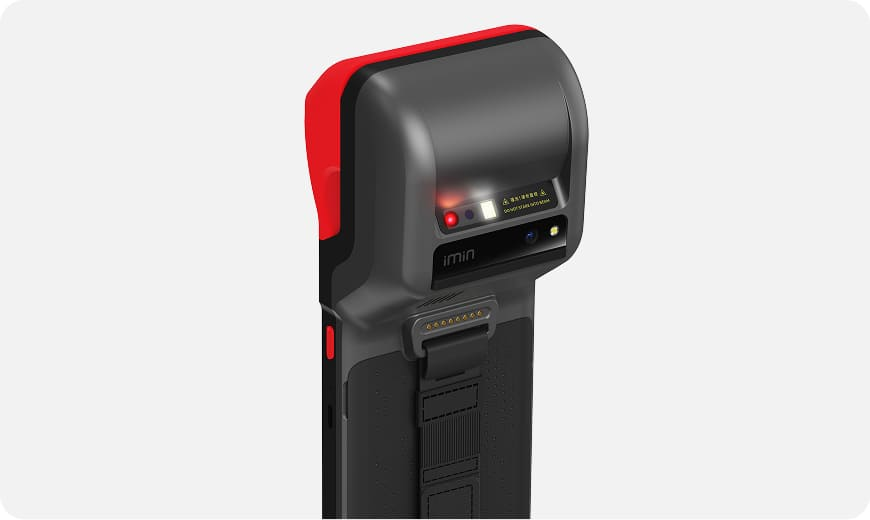 Organic Vegetable Box