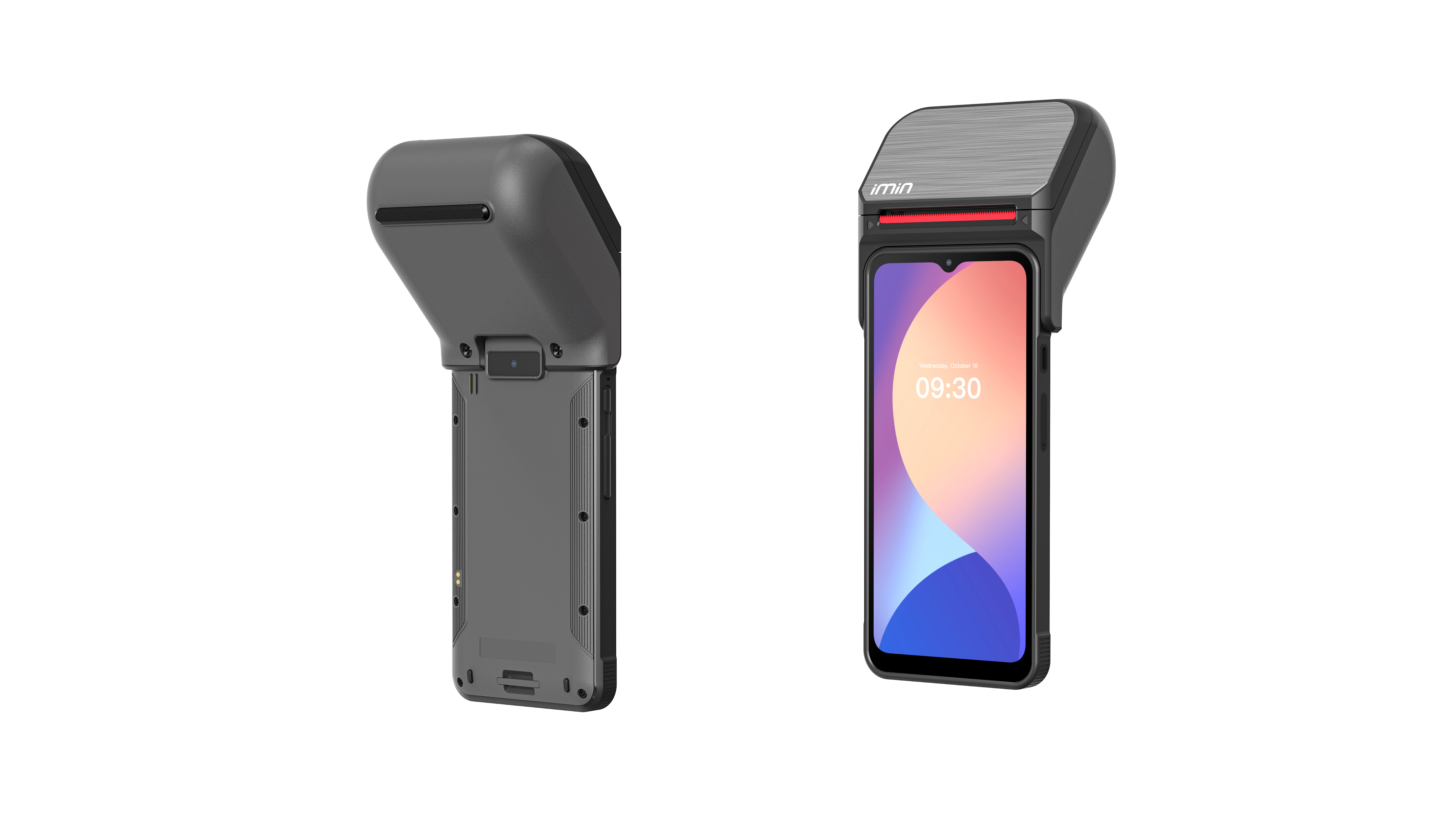 Organic Vegetable Box