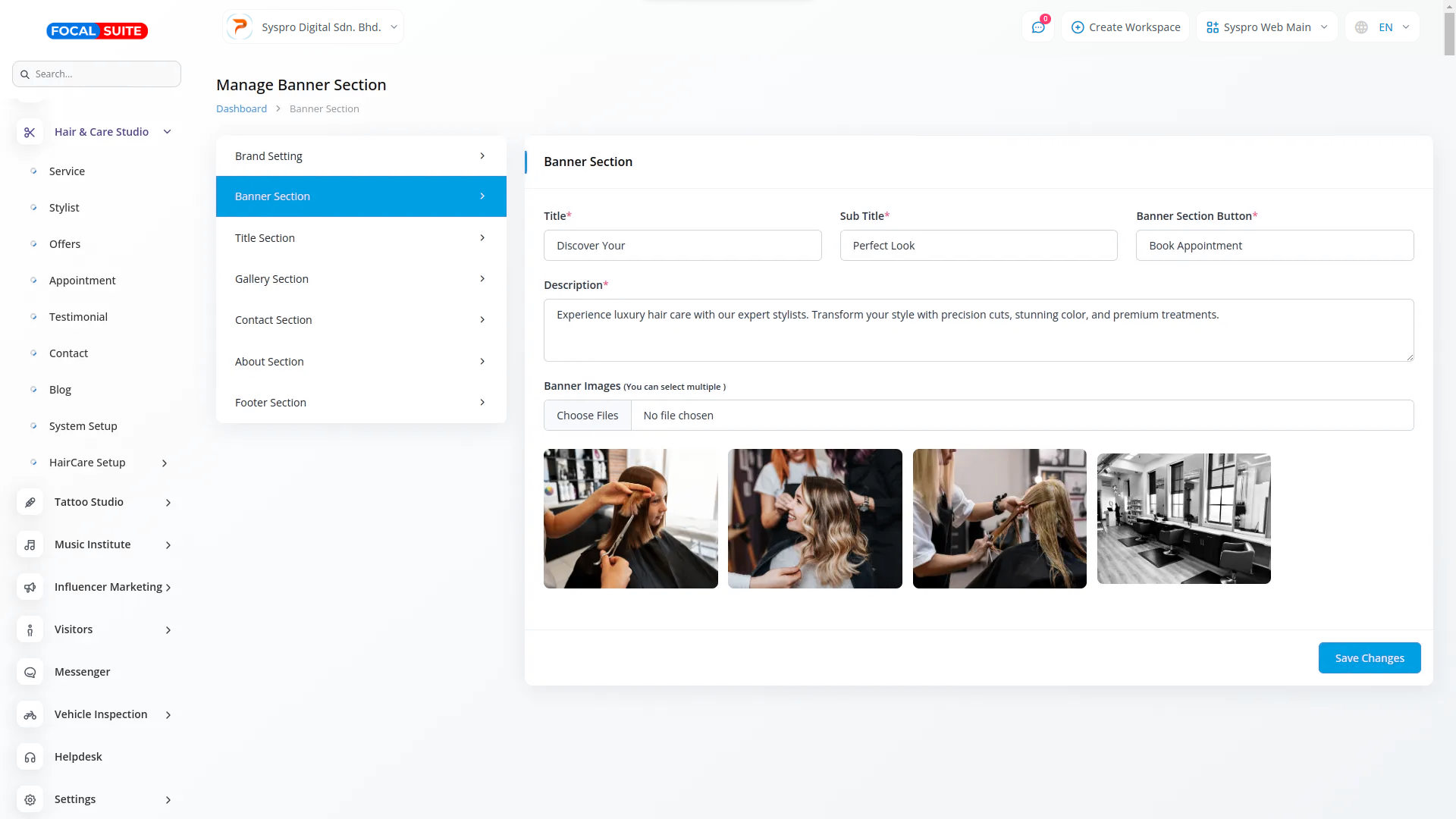 Organic Vegetable Box