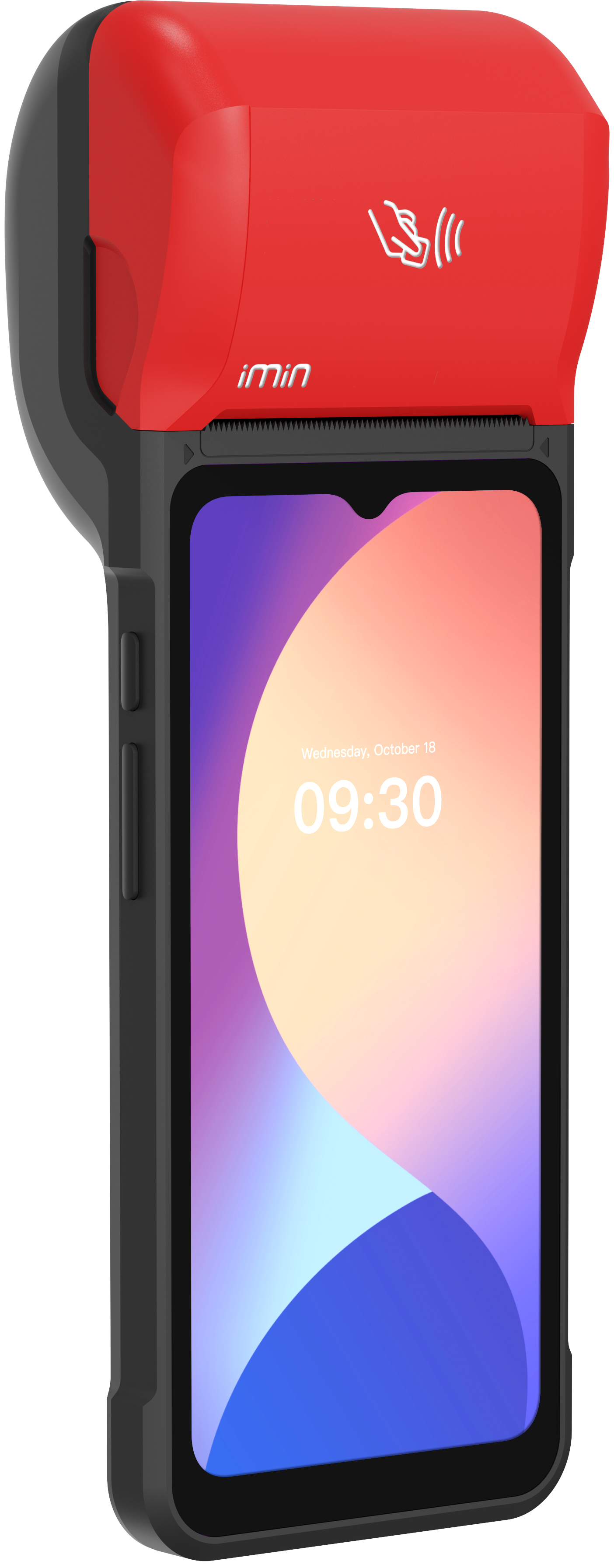 Organic Vegetable Box