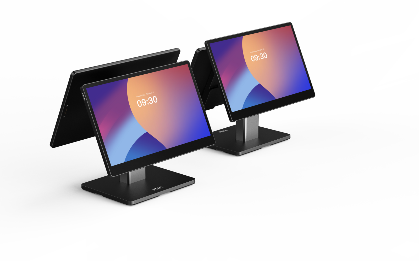 Organic Vegetable Box