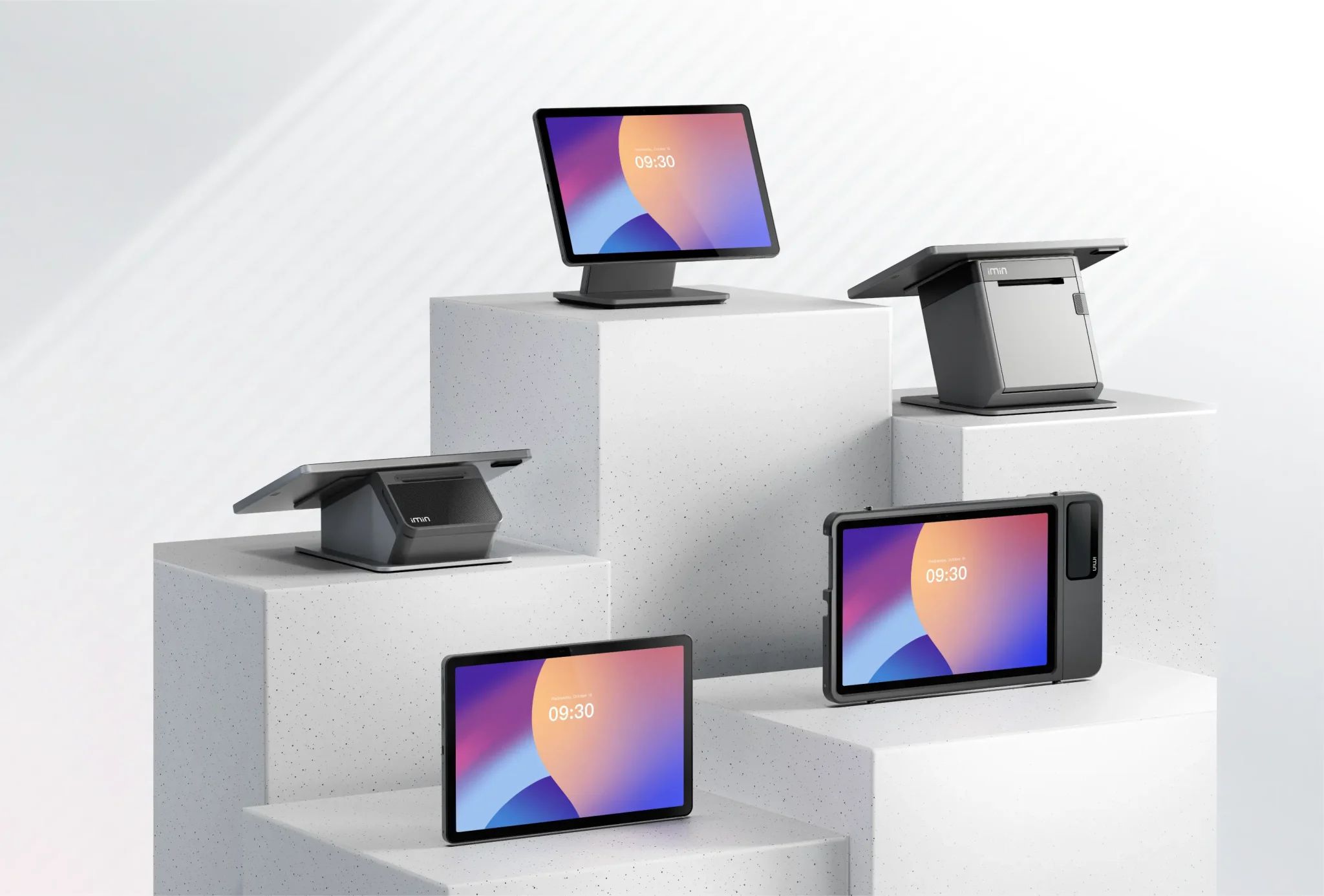 Organic Vegetable Box