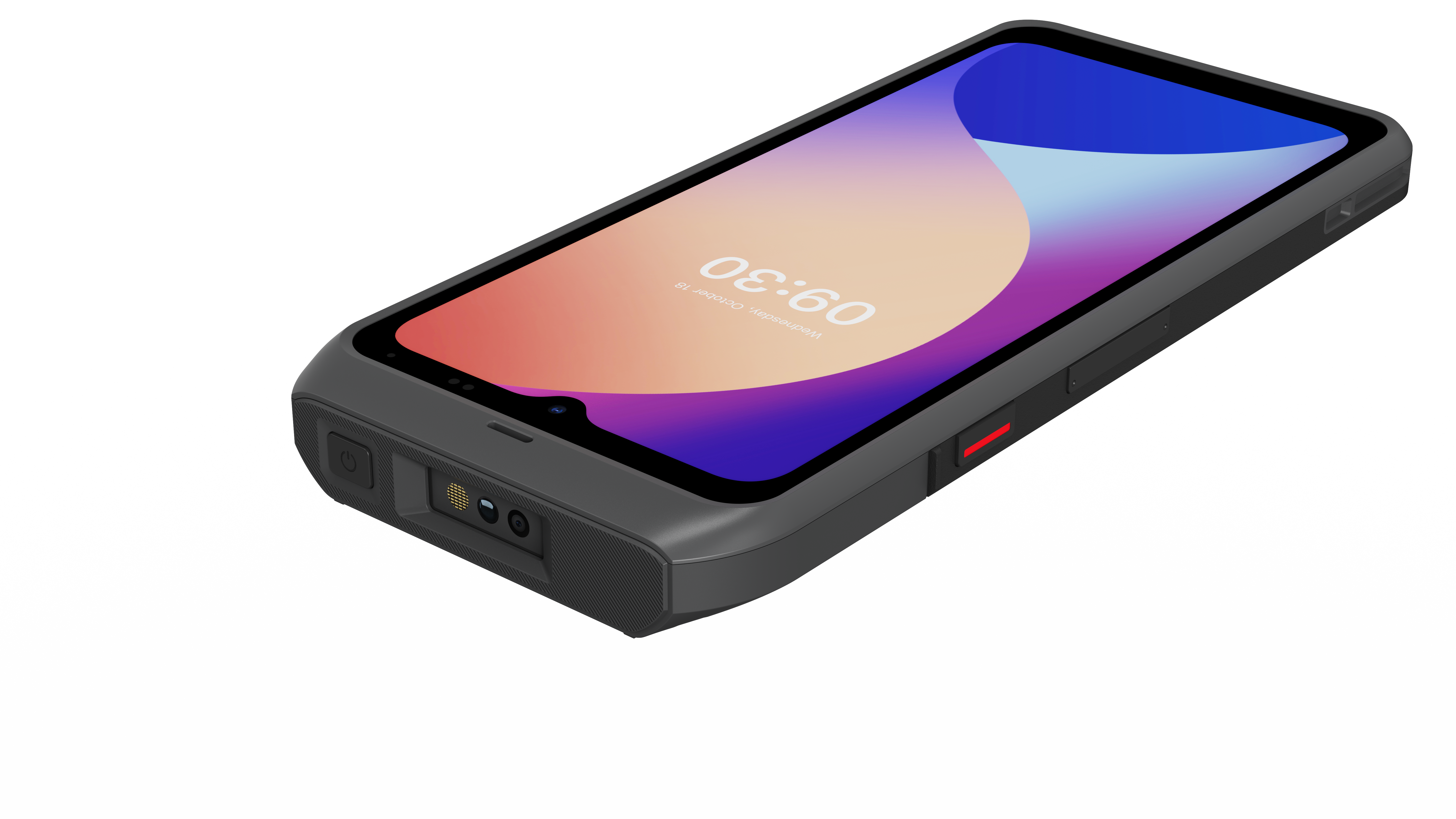 Organic Vegetable Box