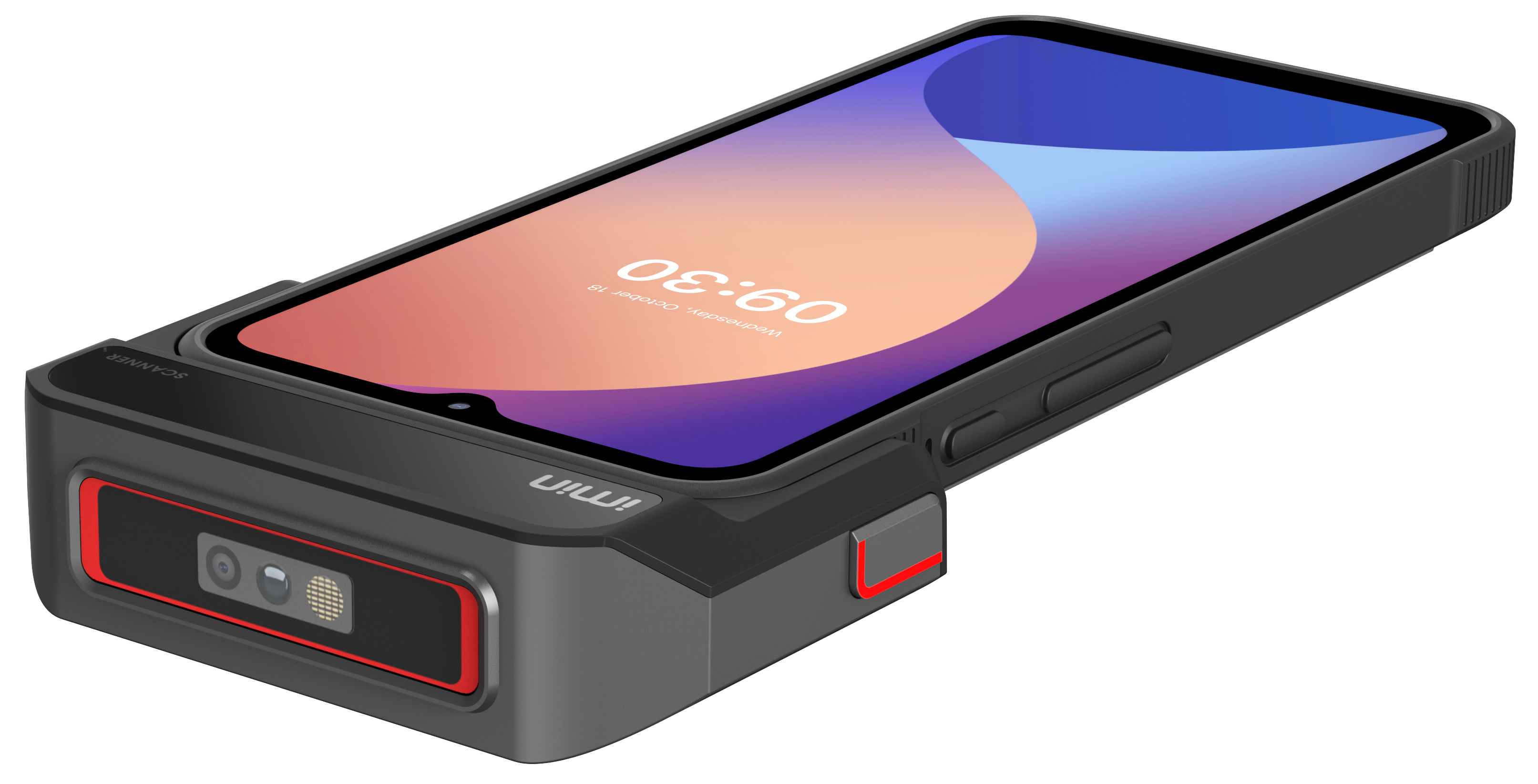 Organic Vegetable Box