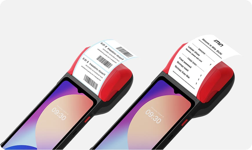 Organic Vegetable Box