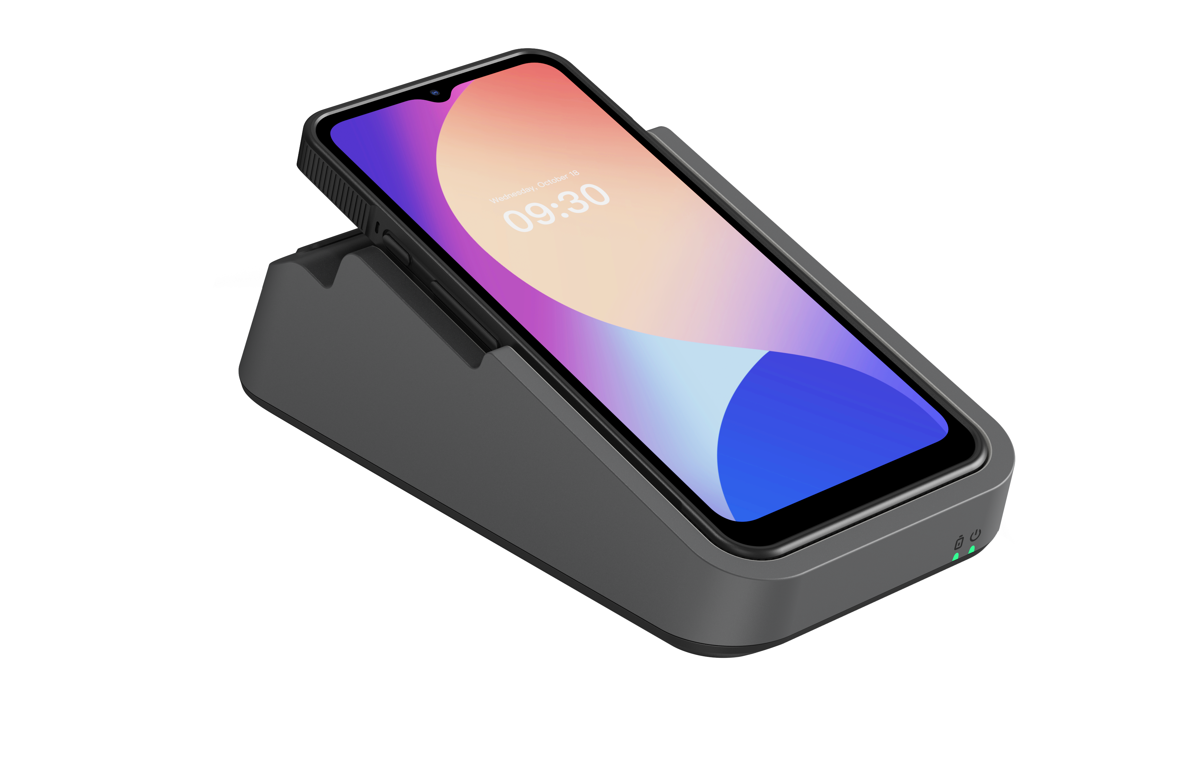 Organic Vegetable Box